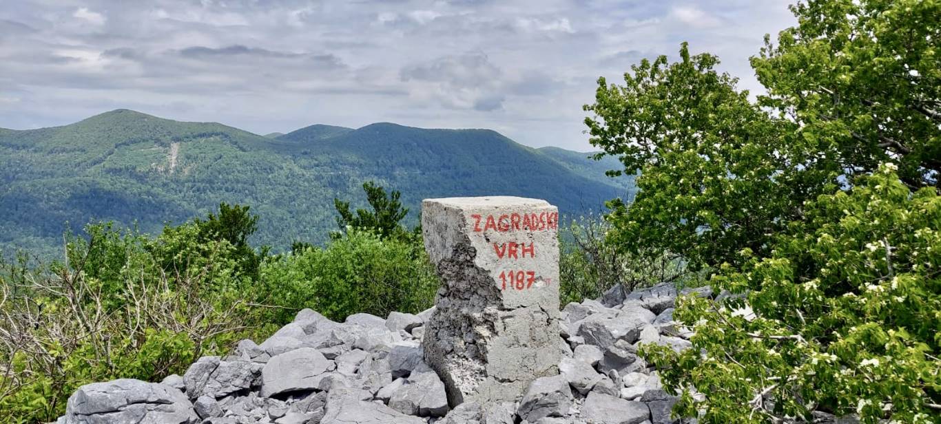 Zagradski2023 4