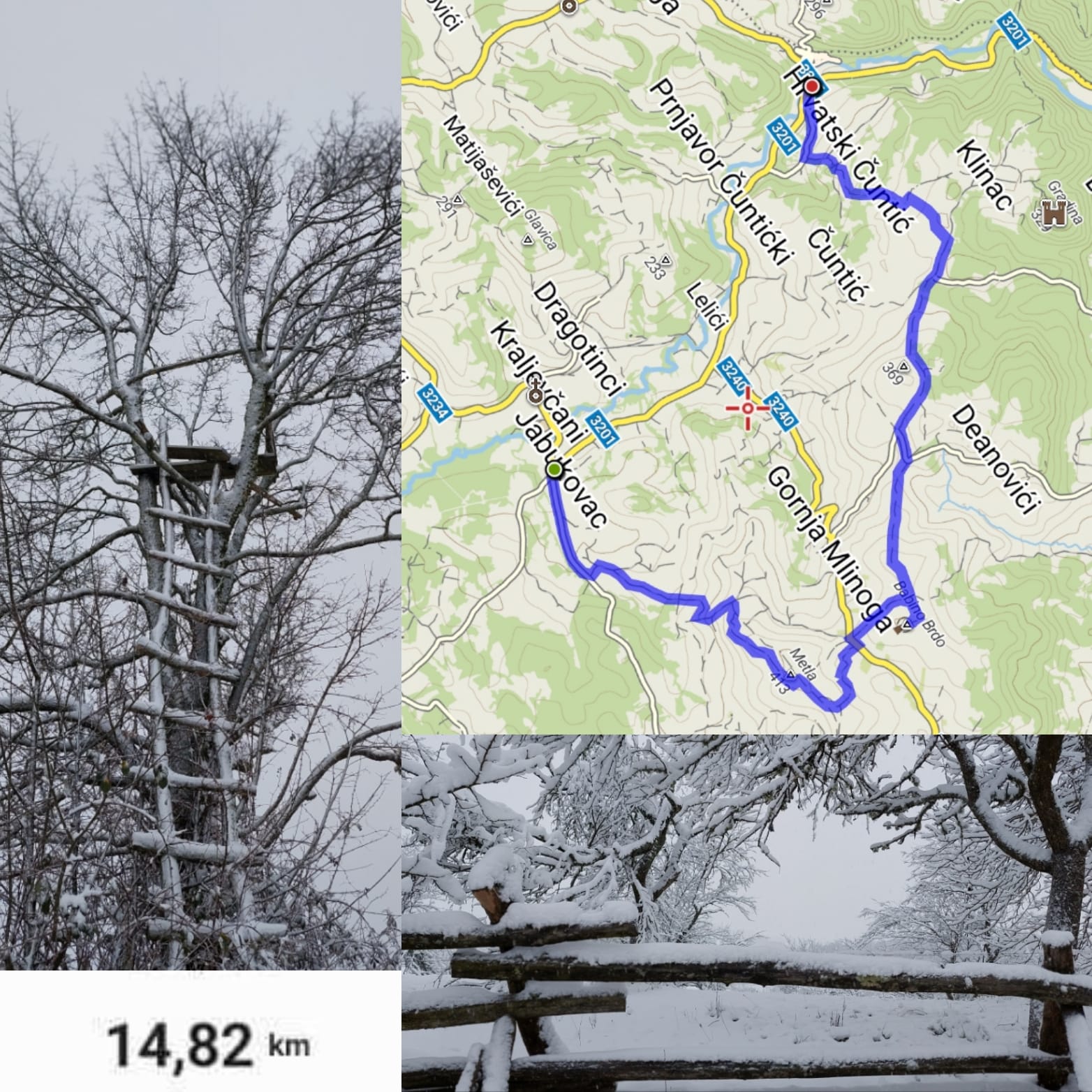 ruta metla